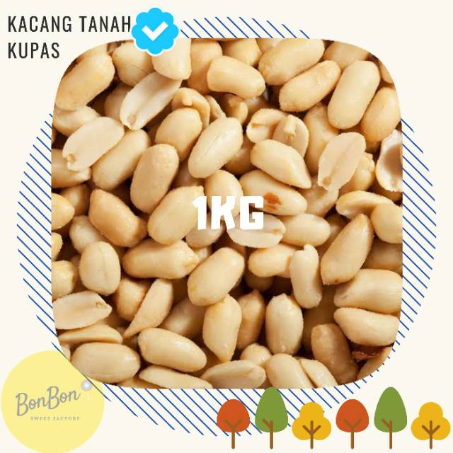 

Kacang Tanah Mentah 1KG / Kacang Tanah Kupas Ukuran Besar Super