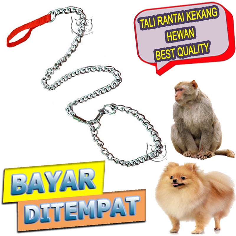 TANAMANARA - TALI RANTAI KUCING ANJING MONYET MUSANG OTER - TALI PELATIHAN HEWAN