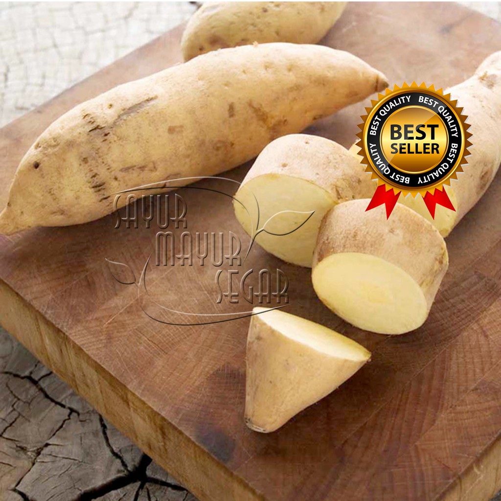 

KIRIM INSTAN UBI JALAR PUTIH SEGAR / UBI PUTIH FRESH