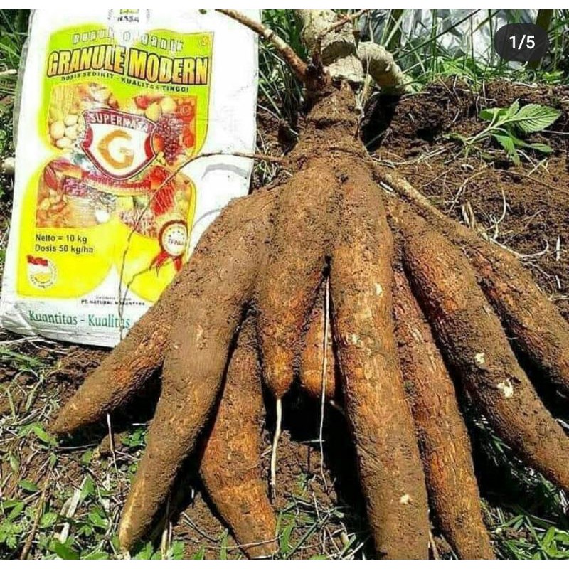 PUPUK GRANULE/PUPUK ORGANIK/TERLARIS