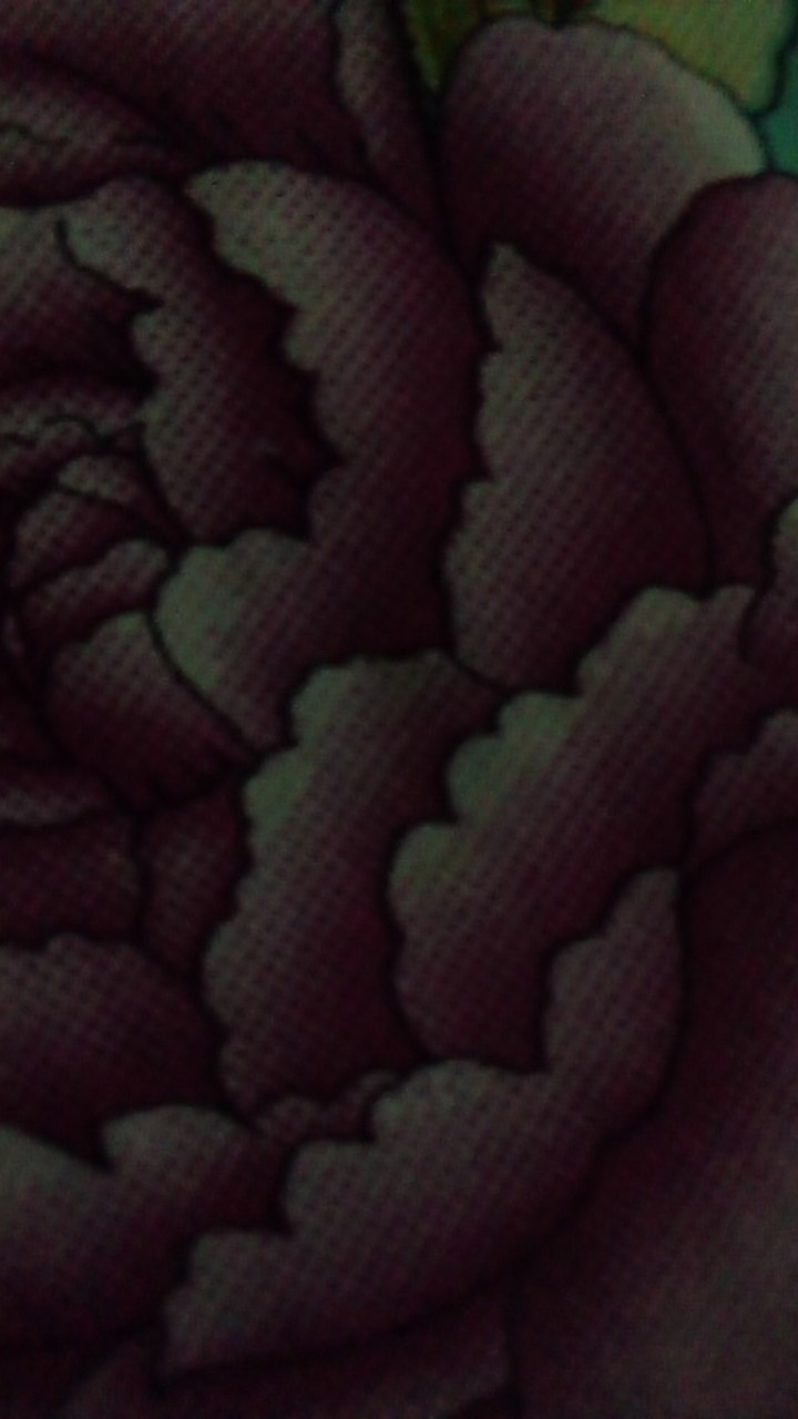 Rc Merah Putih Handuk Mandi 50x100cm/ Handuk Travel/ Handuk Polos By Terry Palmer