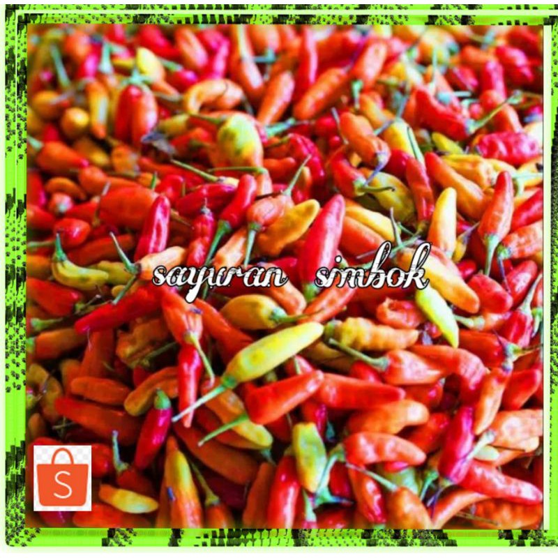 

Cabe cabai rawit setan merah 250 gram