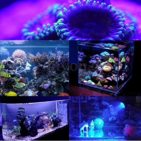 15W E27 Lampu LED Coral Reef Tanaman untuk Akuarium, 85-265V