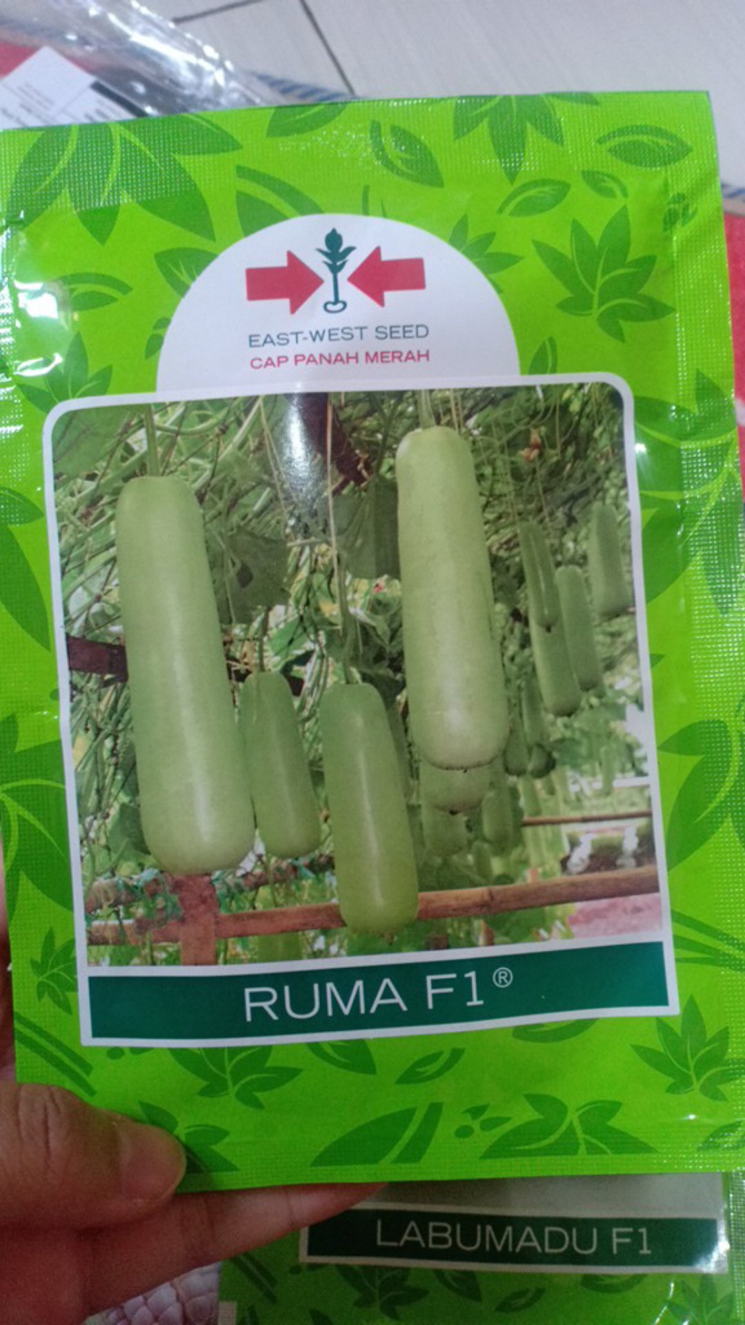 Benih Bibit Biji Labu Air Ruma F1 (10gr)