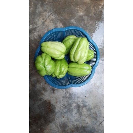 

labu siam 500 gram