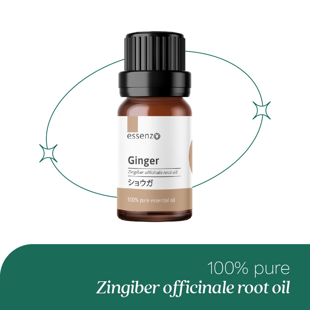 Essenzo Ginger Essential Oil - 100% Pure Essential Oil minyak esensial