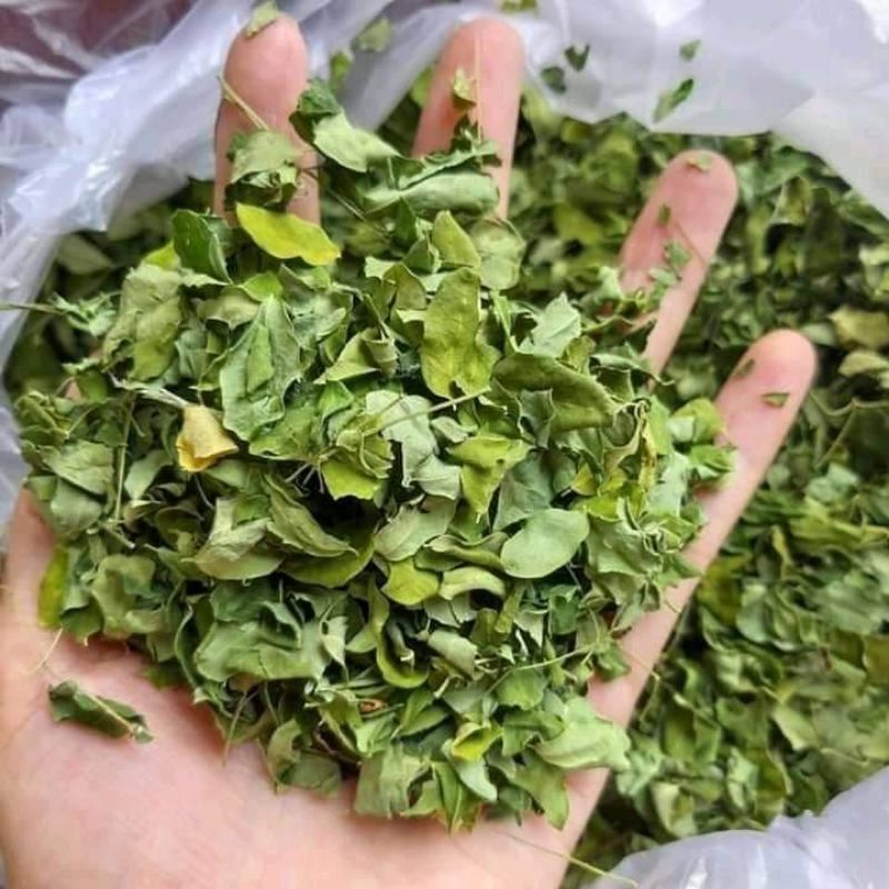 Daun kelor kering 500 gram kelor kering