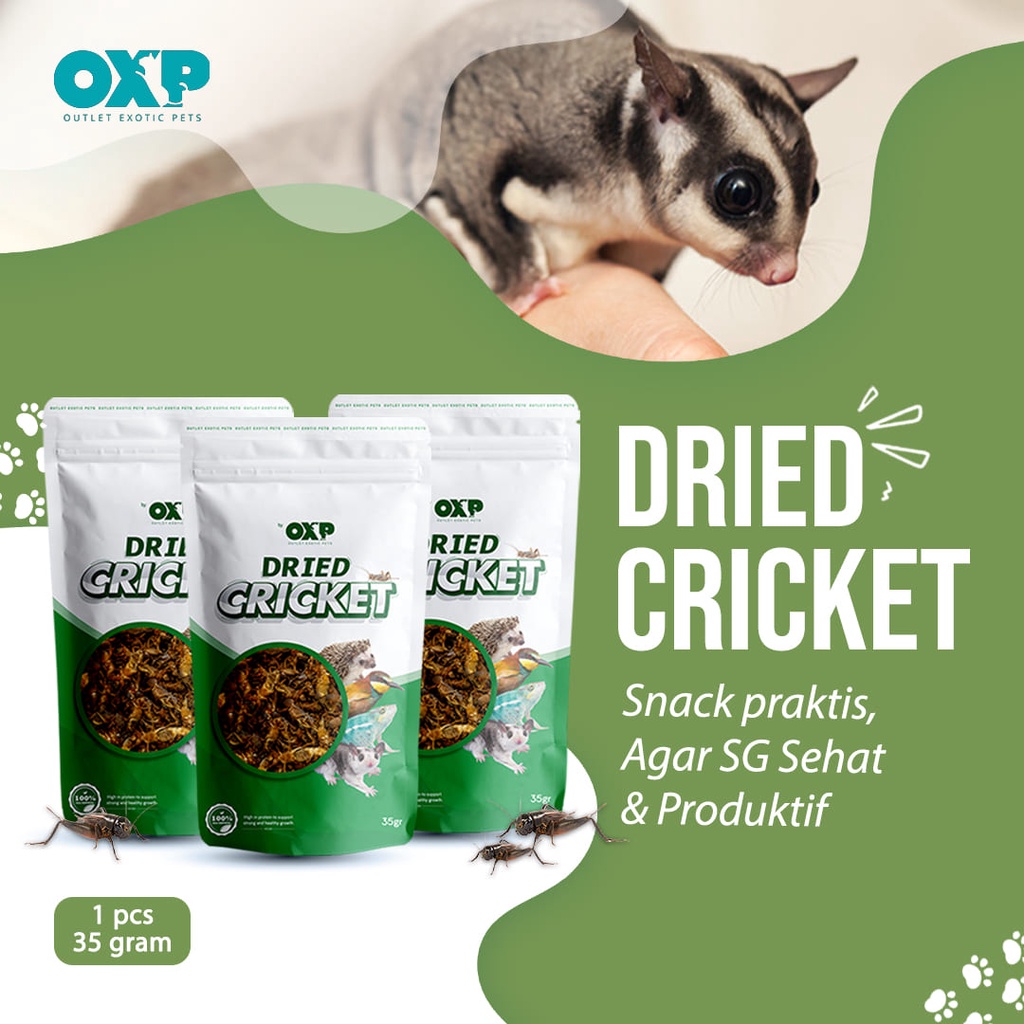 Jangkrik Kering Snack Hewan Sugar Glider, Hamster, Dan Burung