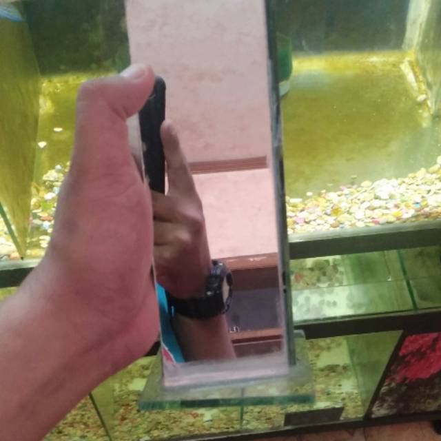 Kaca Untulan Tinggi 30cm Untuk ikan Louhan