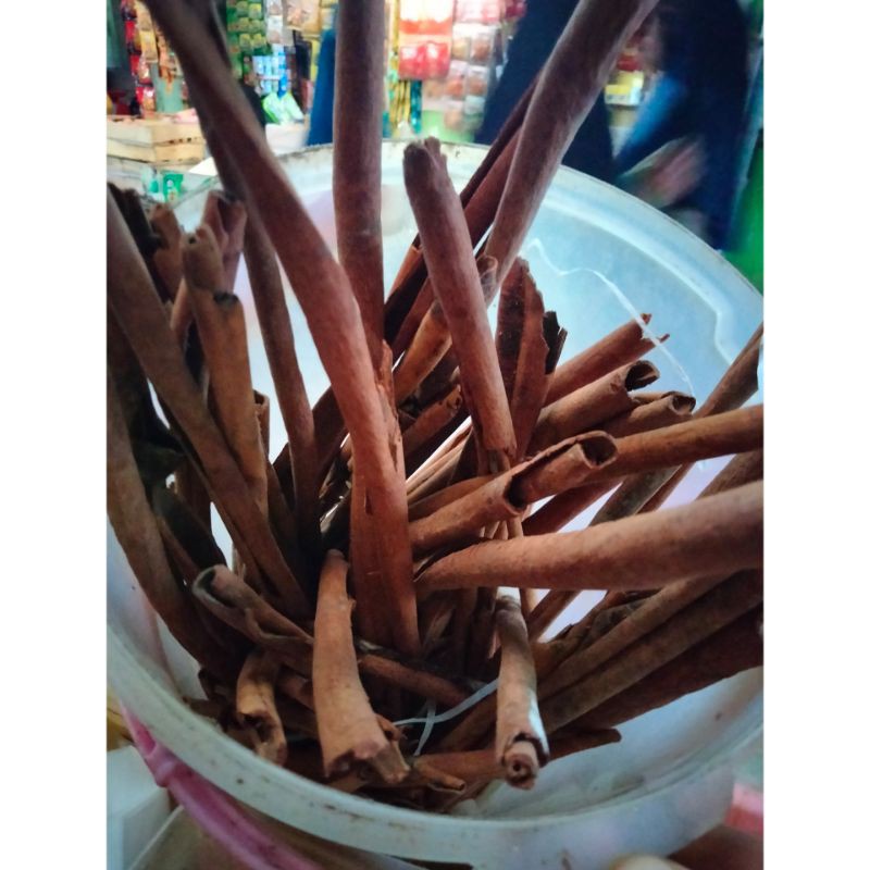

KULIT KAYU MANIS