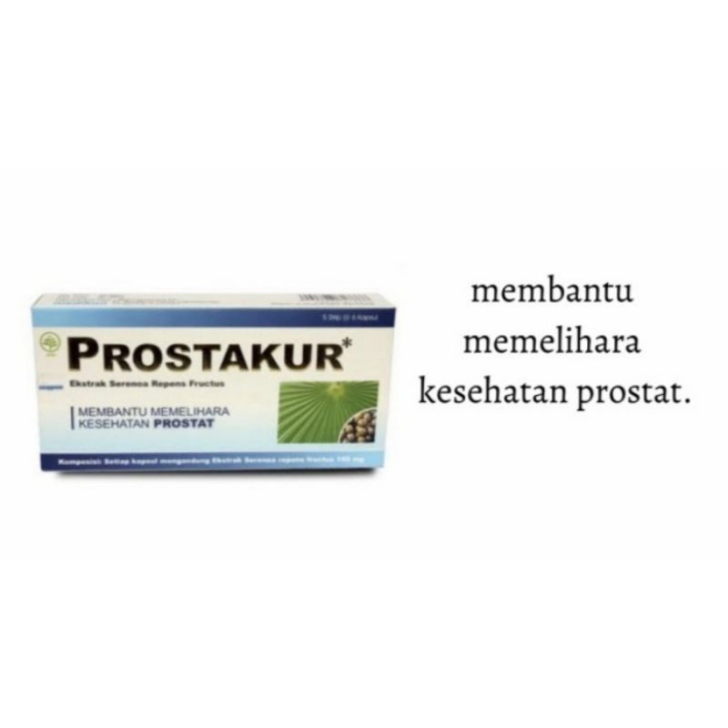 Prostakur obat herbal prostat