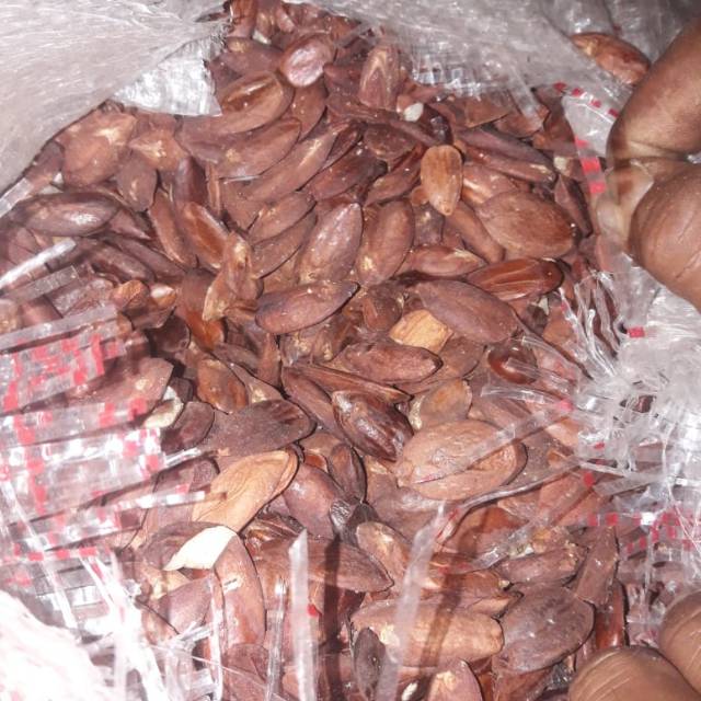 

Kacang kenari kulit murah 1kg