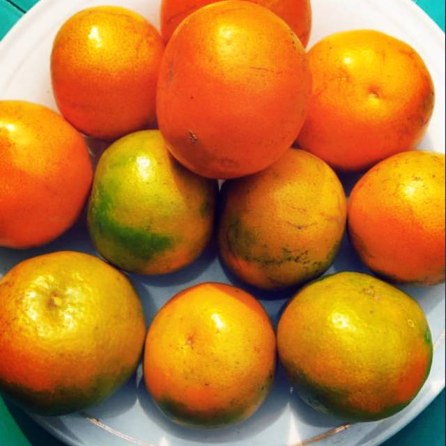 

Jeruk santang lokal 800 gram