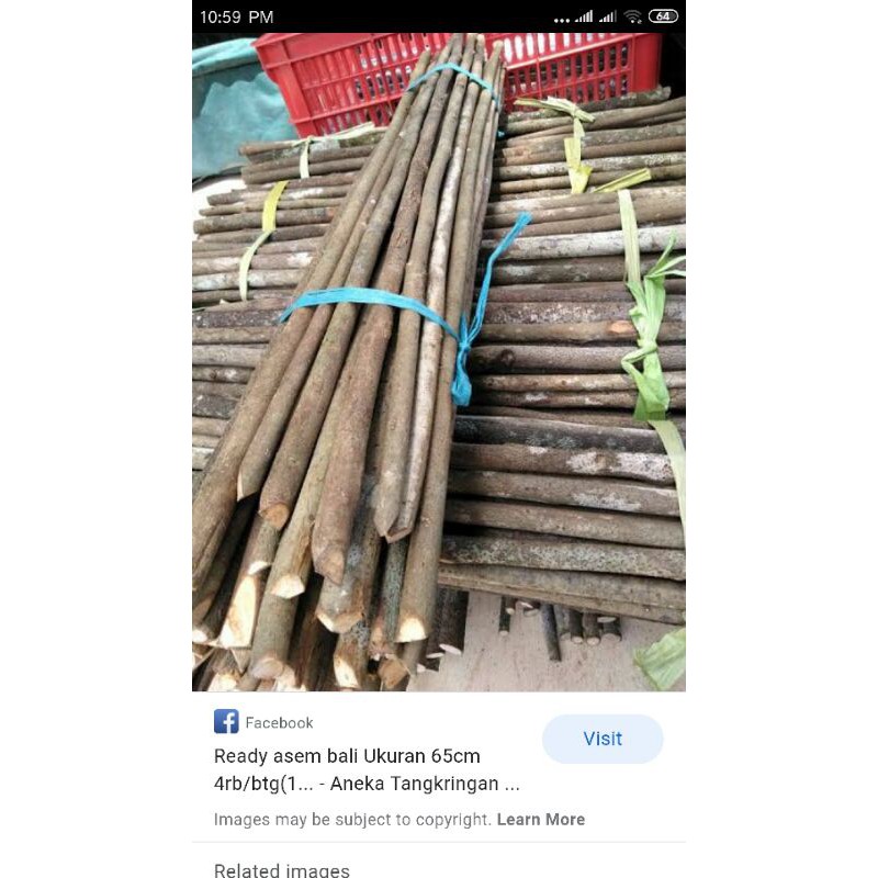 Tangkringan Burung Kayu Asem