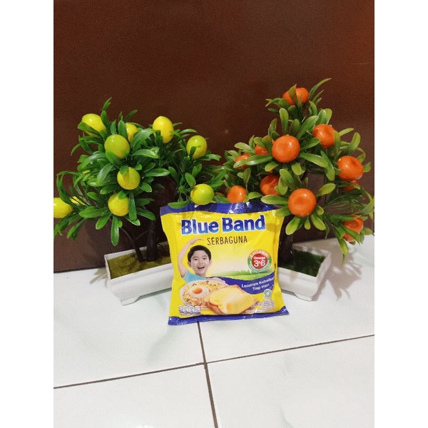 

BLUE BAND 200g