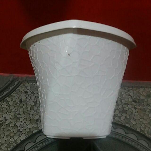 Pot Bunga Tanaman Twistter Putih 20cm