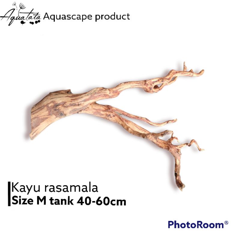 akar kayu aquascape aquarium/ akar rasamala /kayu rasamala M