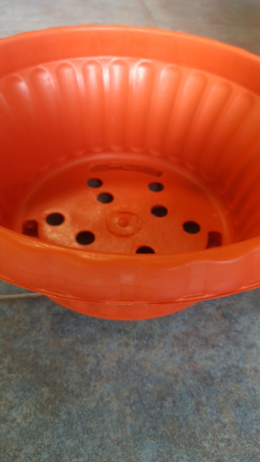 Pot Bunga Tanaman Bonsai Glory 25 Merah