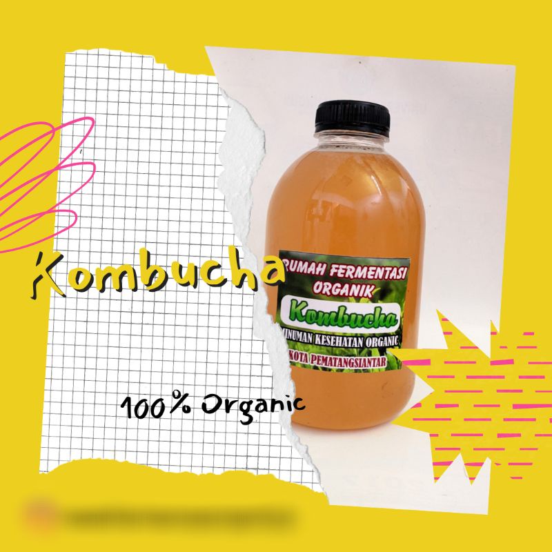 Kombucha /Teh Kombucha/ Kombucha 600ml