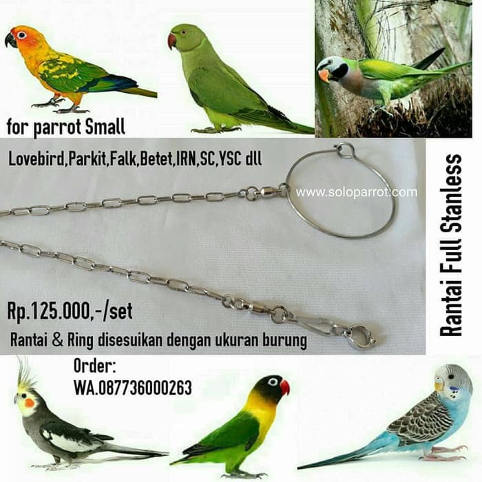 Rantai Buat Burung Parkit Lovebird Falk Cockatail Betet Sc Ysc Irn