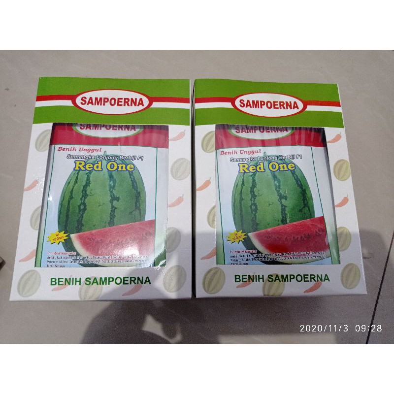 Benih semangka non biji