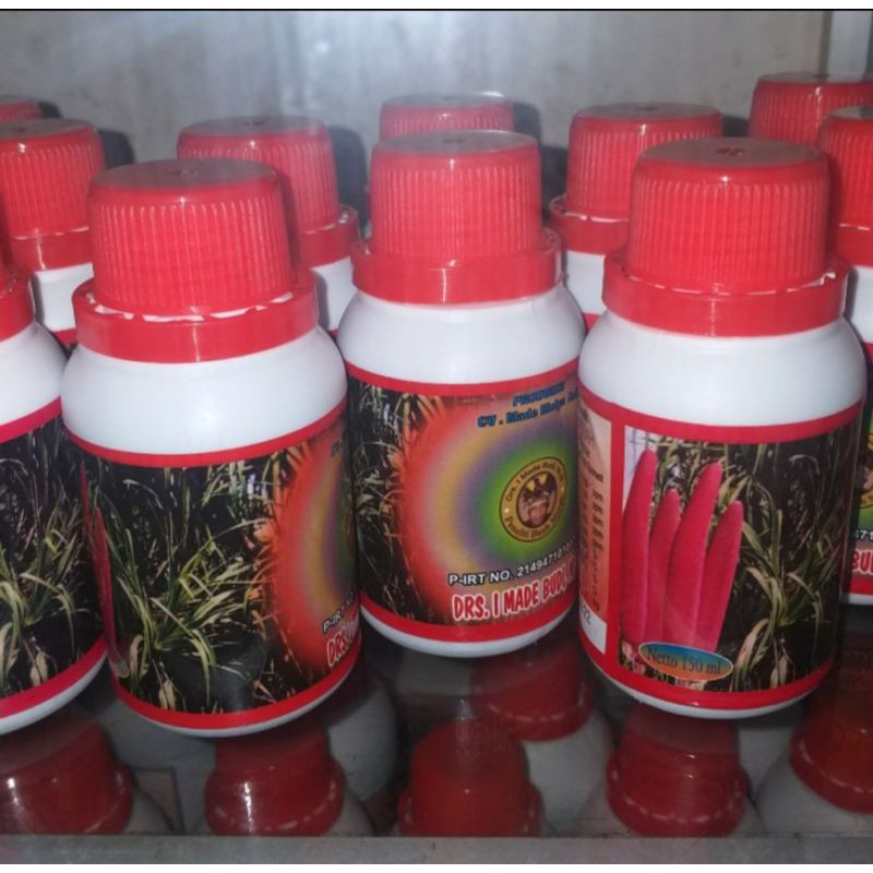 Sari Minyak Buah Merah Papua asli ukuran 150ml