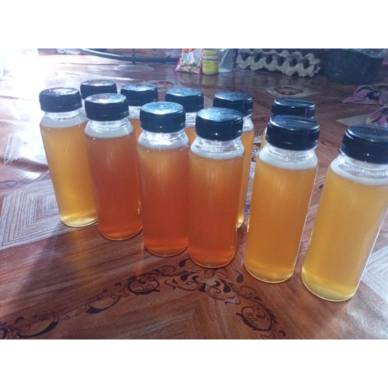 

Asli 100 % Madu Klenceng/Madu Kelulut 250 Mili