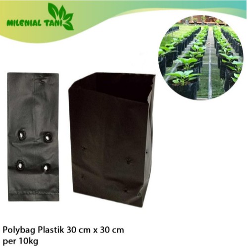 Polybag Tanaman Ukuran 30 cm x 30 cm Per 10 kg