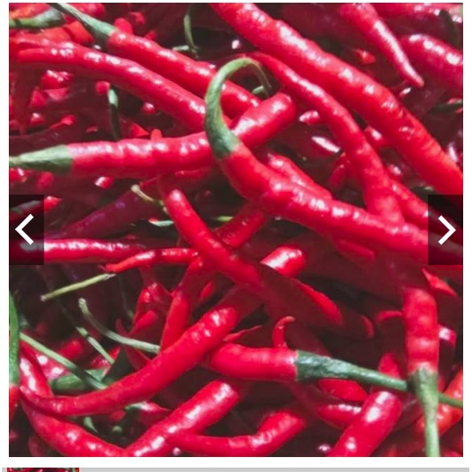 

CABE MERAH KRITING