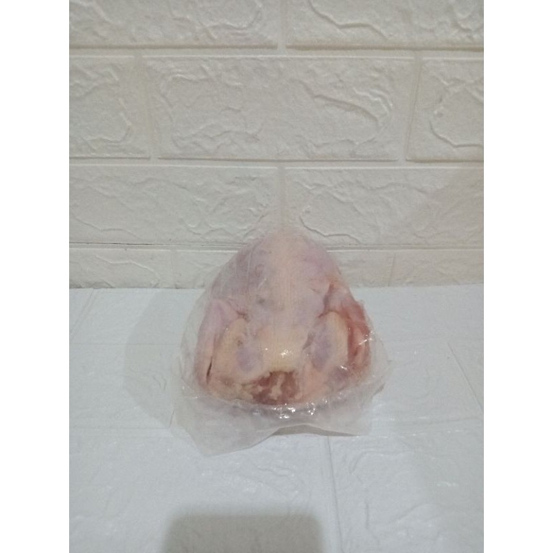 

ayam broiler ukuran 1kg