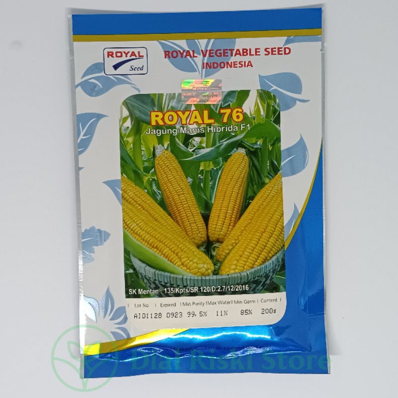 Jual Benih Jagung Manis Hibrida F Royal Royal Seed Shopee Indonesia