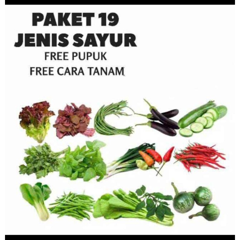 Jual Benih Paket 19 Jenis Sayuran And Buah Repack Shopee Indonesia 8308