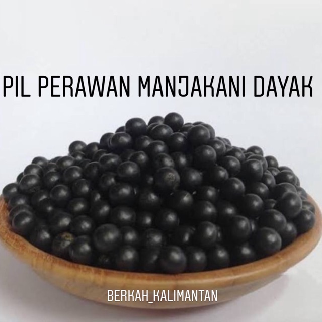 PIL KEMBALI PERAWAN MANJAKANI DAYAK / PIL BUJANG DAYAK