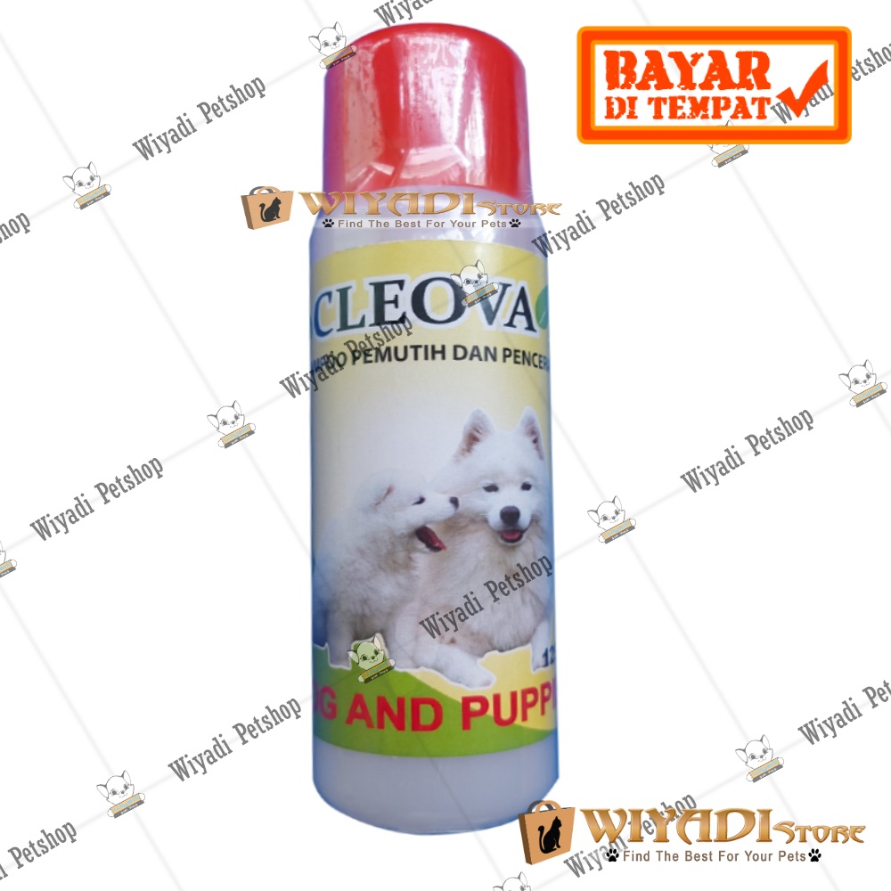 CLEOVA DOG 125 ML WHITE SOLID SAMPO ANJING BULU PUTIH PENGHILANG NODA