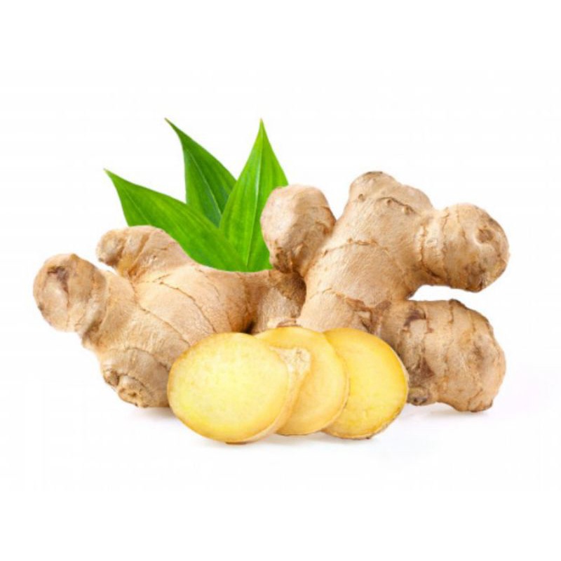 

jahe segar & fresh / 250gr di warunk juni