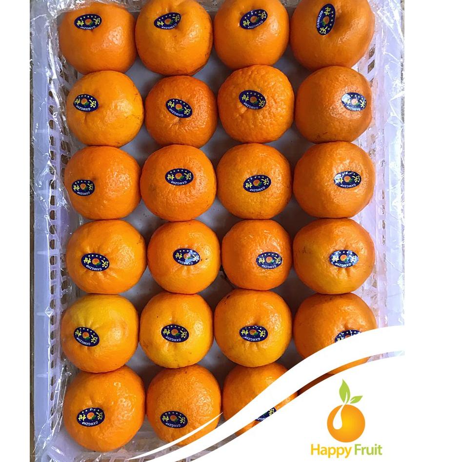

(PROMO QMY92) BUAH JERUK WOGAN WOKAM PREMIUM JERUK KUPAS IMPORT IMPOR 500 GRAM [HAPPY FRUIT] ✵