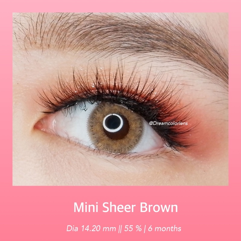 Softlens Kitty Kawaii Mini Sheer Brown / Coklat Normal Minus Beda Minus