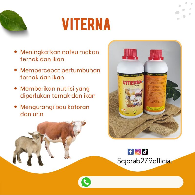 VITERNA (VITAMIN TERNAK NASA)