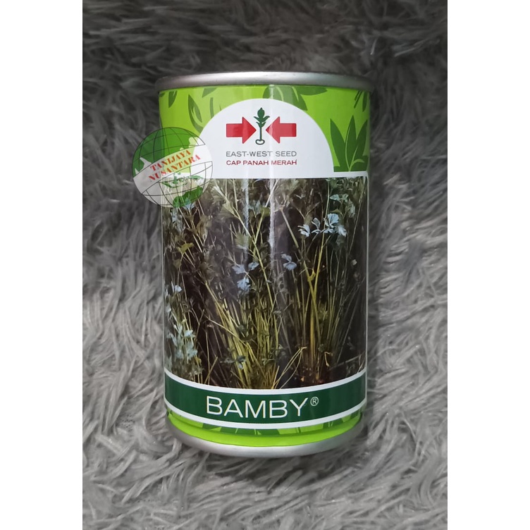 Bibit Seledri Bamby - 50 gram