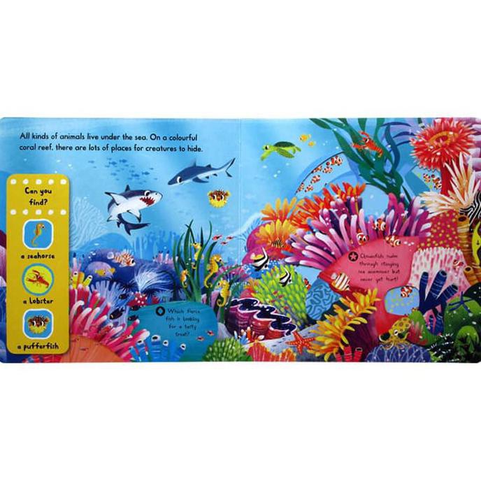 First Explorers Sea Creatures - Campbell Book