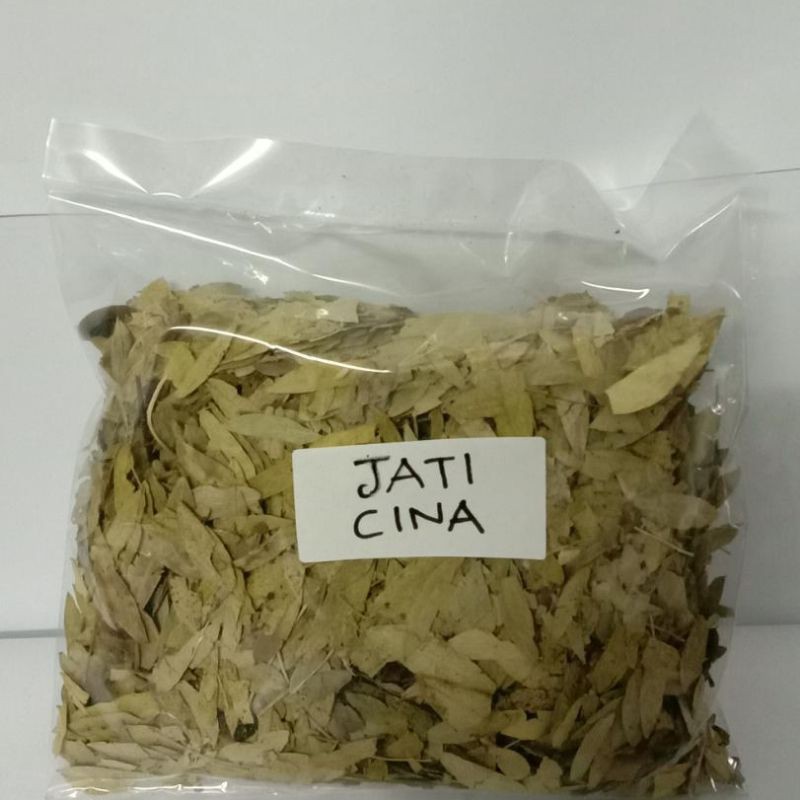 

Daun Jati Cina