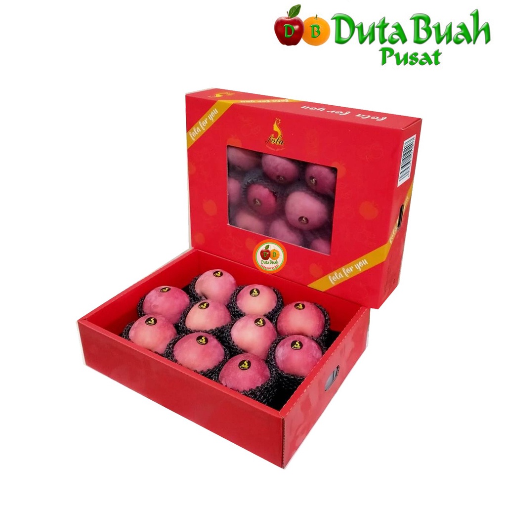 DUTA BUAH GIFT APEL FUJI FOLA 10'S