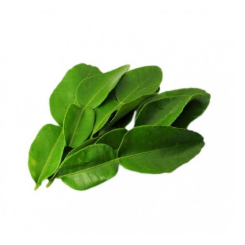 

Daun Jeruk Purut