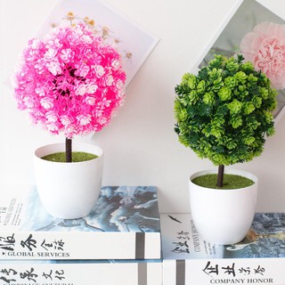 COD Ornamen POT Tanaman Hias Bonsai Bulat Plastik Bagus COD Ornamen POT Tanaman Hias Bonsai Bulat Plastik Bagus