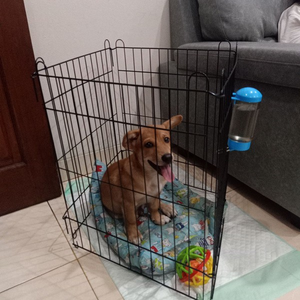 KANDANG pagar kandang kelinci hewan/ pagar anjing kucing