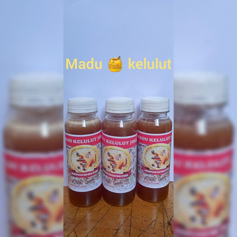 

madu kelulut asli Kayong Utara
