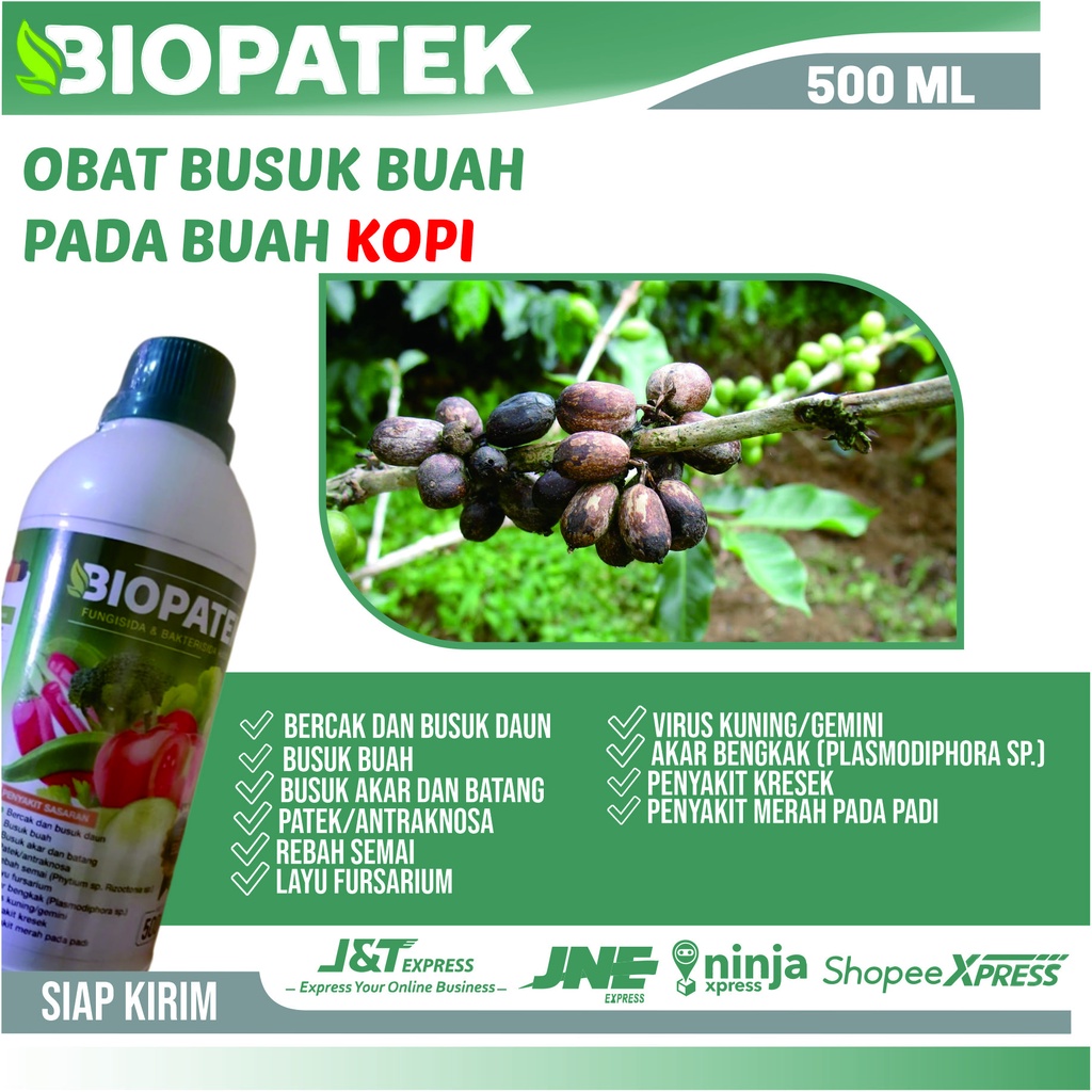 Obat Buah Busuk Pada Tanaman Kopi, BIOPATEK Fungisida & Bakterisida Hayati Obat Layu Fusarium Daun K