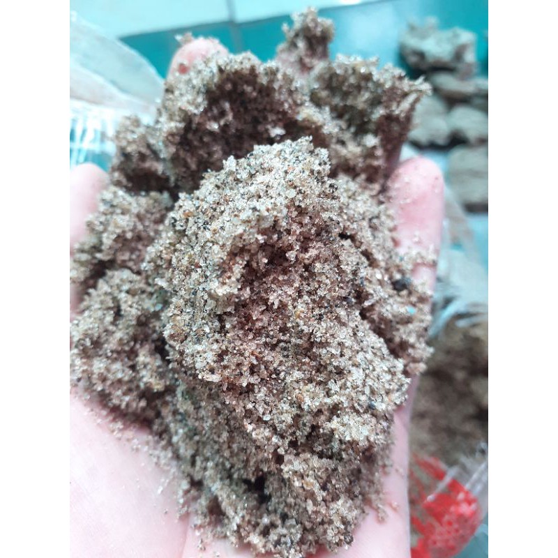 

pasir bangka coklat