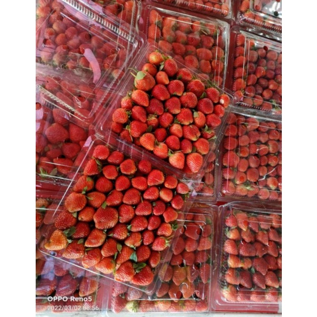 

STRAWBERRY BANDUNG