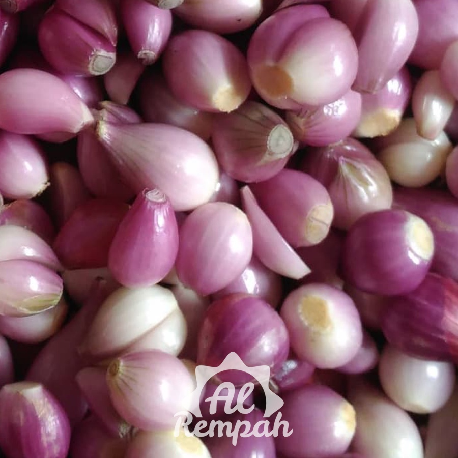 

Bawang Merah Kupas 1kg Super Murah